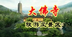 私密浏览器日韩操逼的网站中国浙江-新昌大佛寺旅游风景区